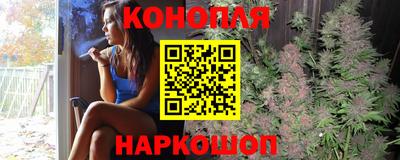 Альфа ПВП Кингисепп