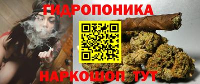 Альфа ПВП Кингисепп