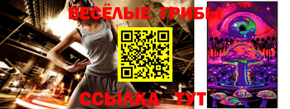 Псилоцибиновые грибы Psilocybine cubensis  Вход с VPN  Котовск 
